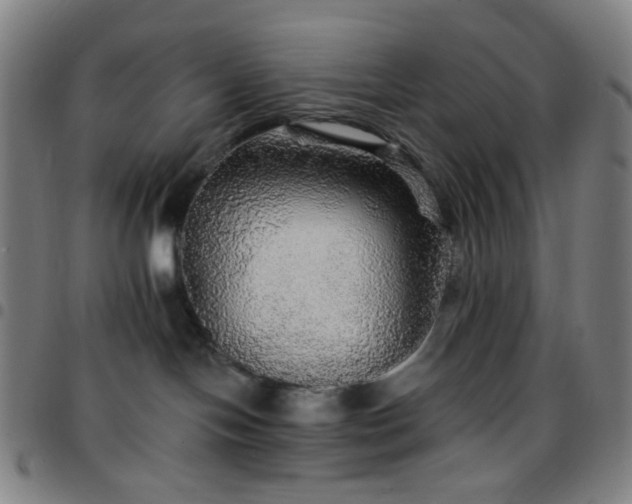 X0000097670094200803071605