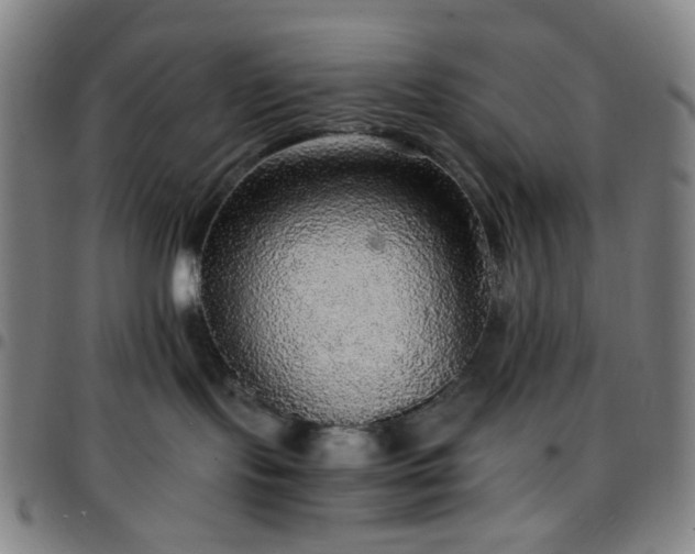 X0000097670095200803071605