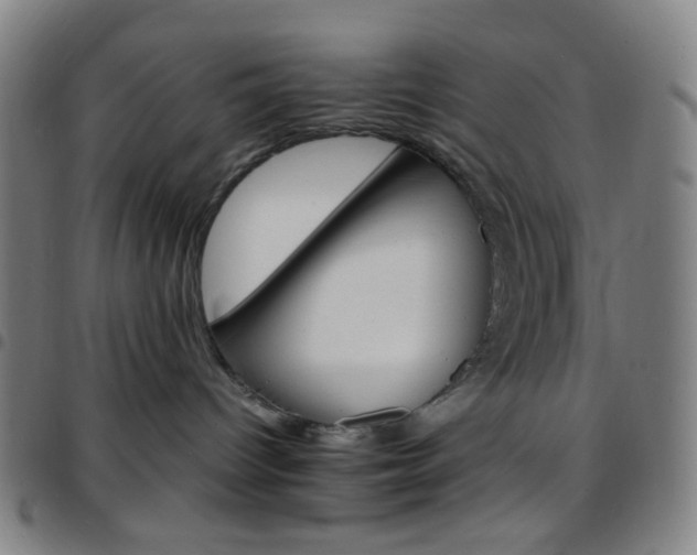 X0000097670096200803071605