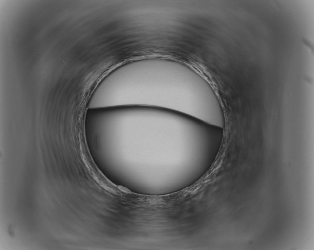 X0000097670097200803071604