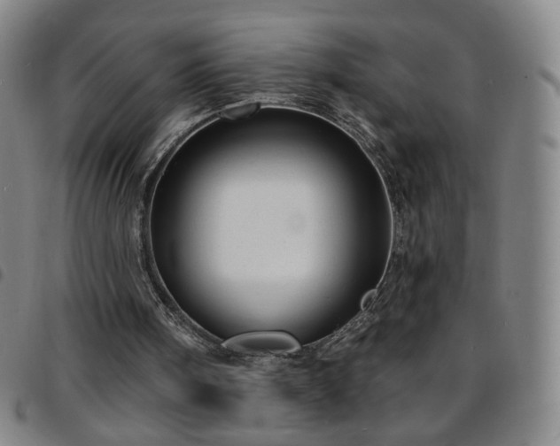 X0000097670098200803071604