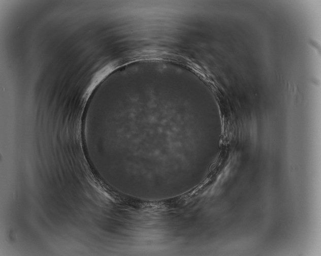 X0000097670099200803071604