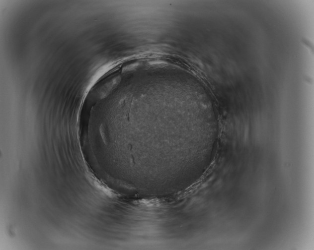 X0000097670100200803071604