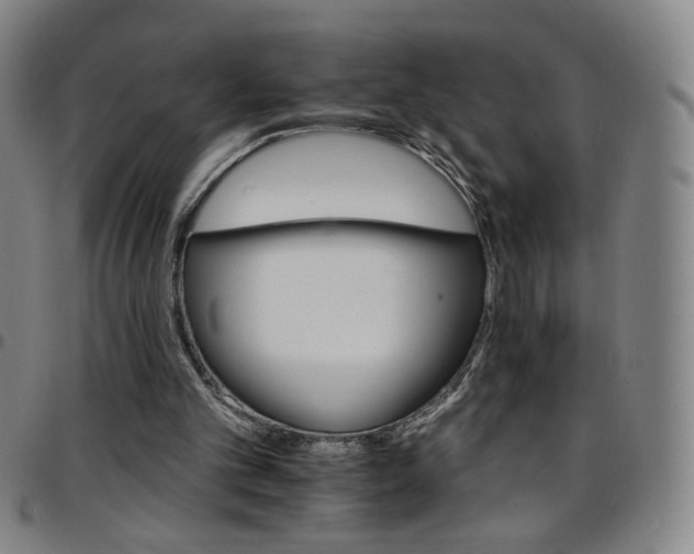 X0000097670101200803071604