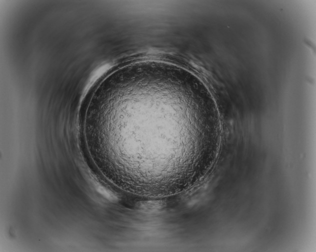X0000097670102200803071604