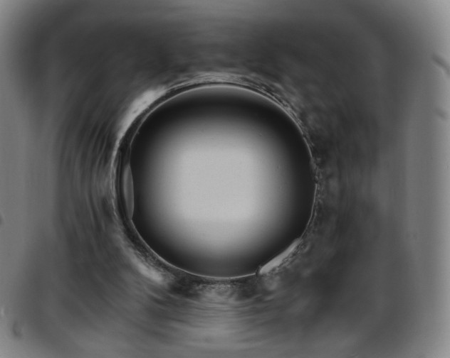 X0000097670104200803071604
