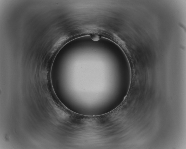 X0000097670106200803071604