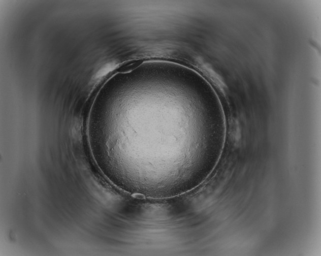 X0000097670107200803071604