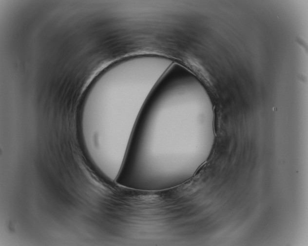 X0000097670108200803071604