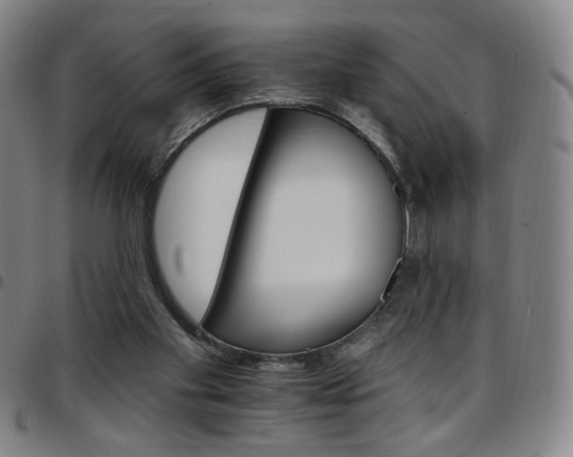 X0000097670109200803071604