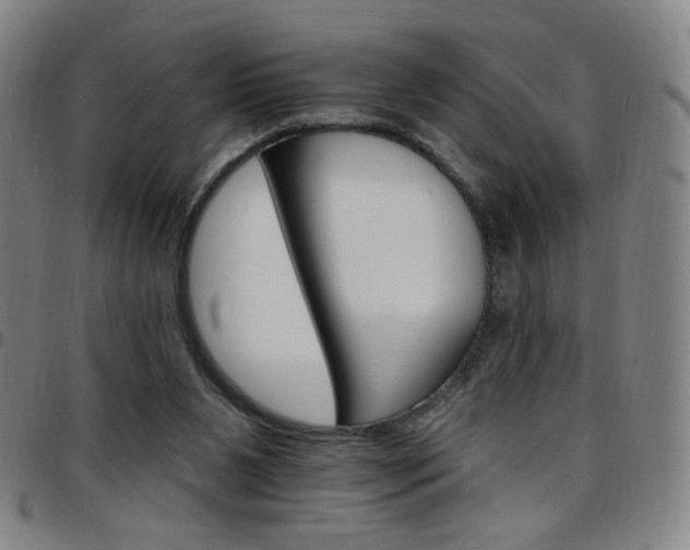 X0000097670111200803071604