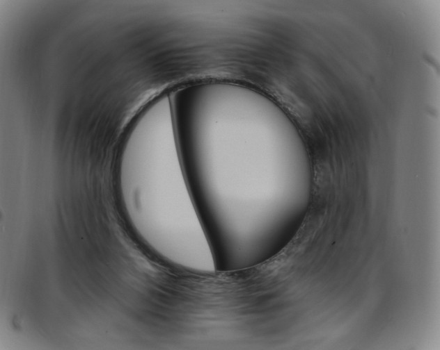 X0000097670112200803071604