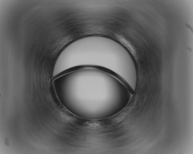 X0000097670113200803071604