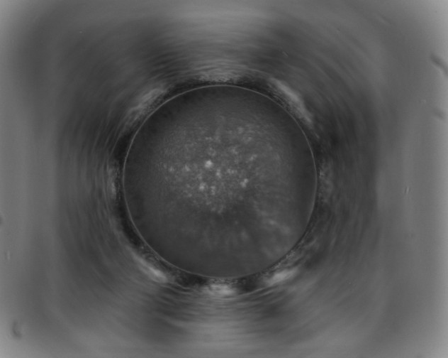 X0000097670114200803071604