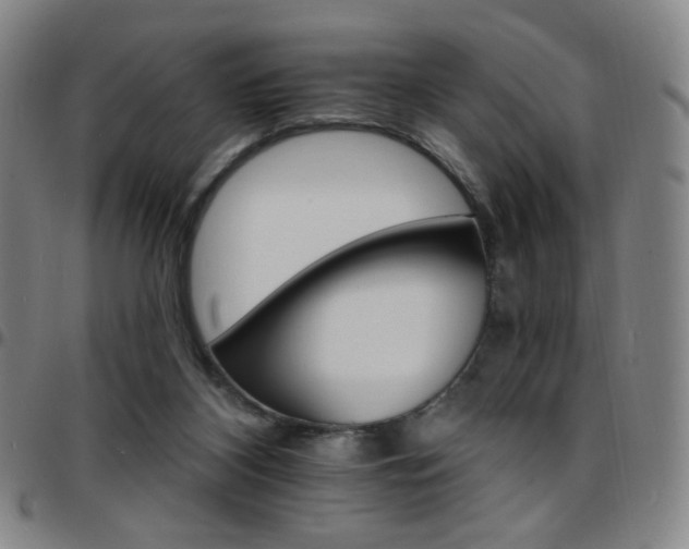 X0000097670116200803071603