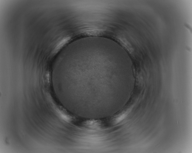 X0000097670117200803071603