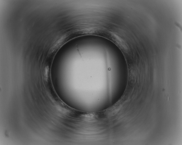 X0000097670118200803071603