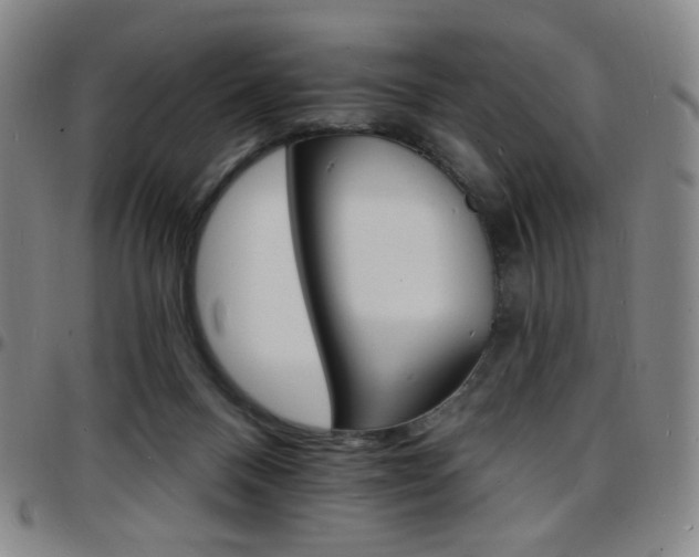 X0000097670120200803071603
