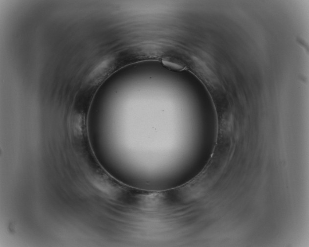 X0000097670122200803071603