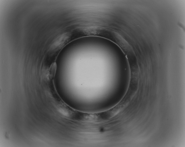 X0000097670125200803071603