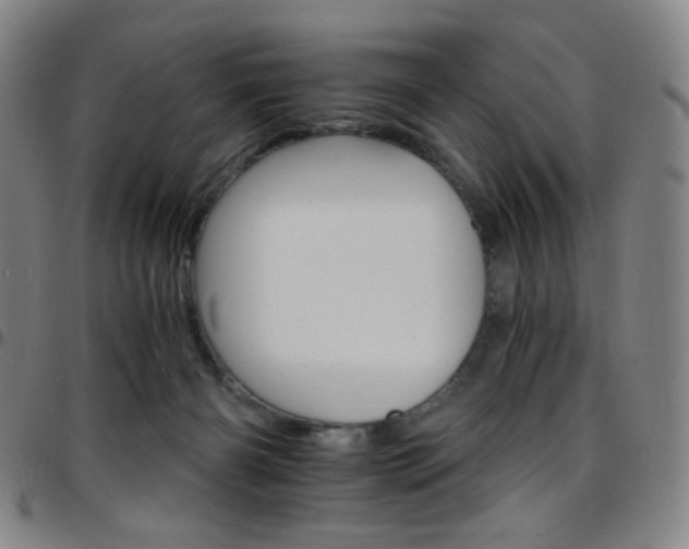 X0000097670126200803071603