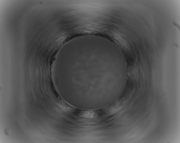 X0000097670127200803071603