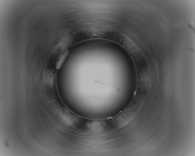 X0000097670129200803071603