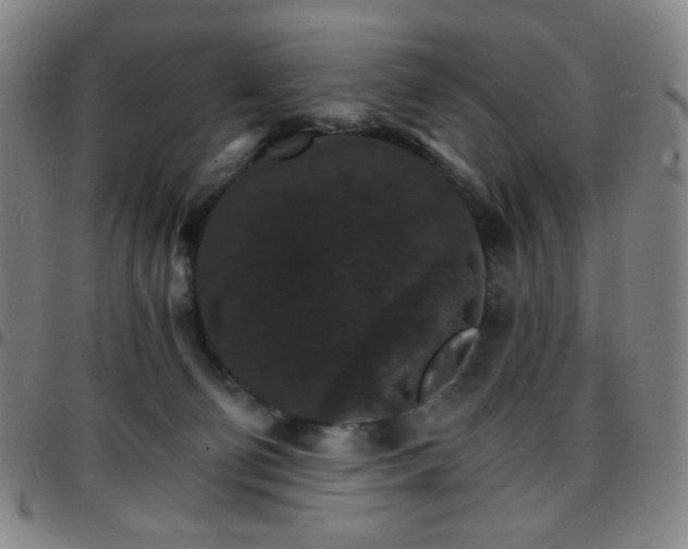 X0000097670130200803071603