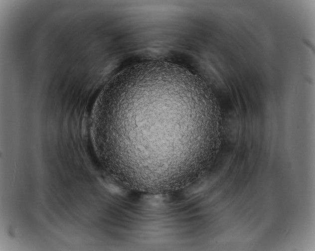 X0000097670131200803071603