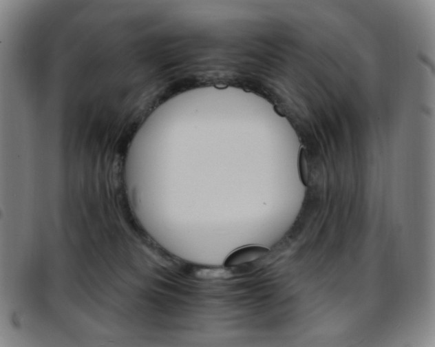 X0000097670133200803071603