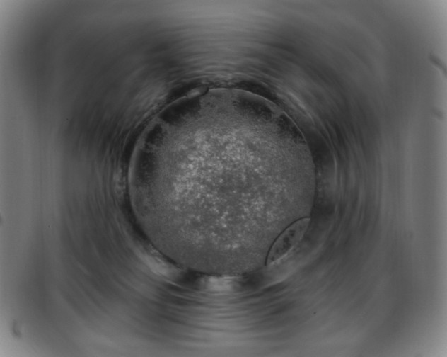 X0000097670134200803071603