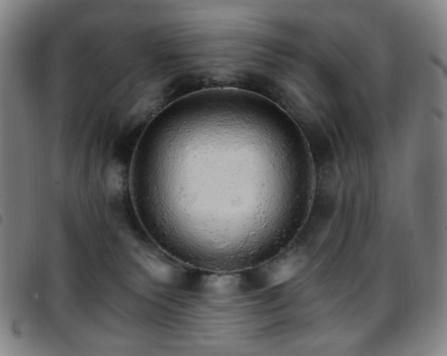 X0000097670135200803071603