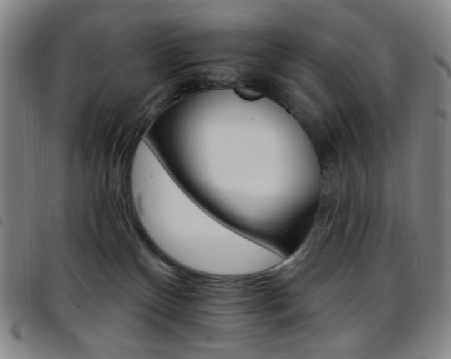 X0000097670136200803071603