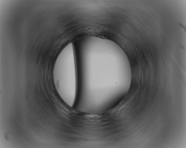 X0000097670137200803071603