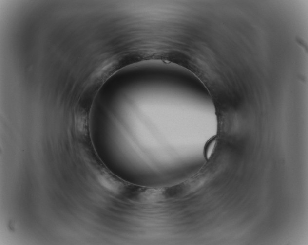 X0000097670138200803071603