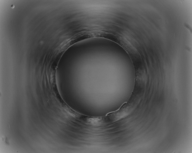 X0000097670139200803071603
