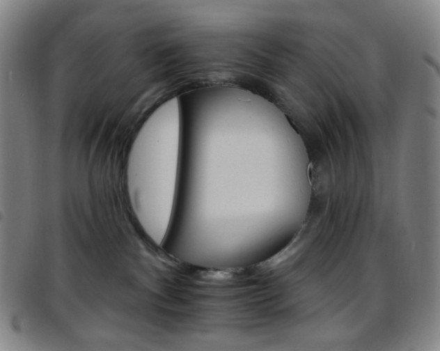 X0000097670140200803071603