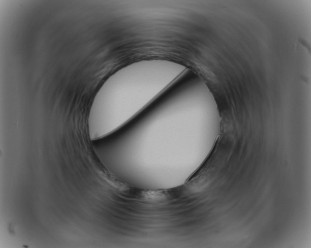 X0000097670141200803071603