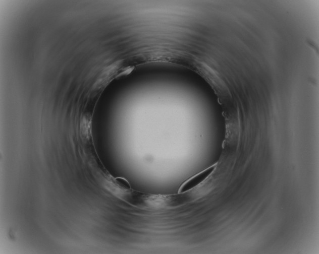 X0000097670142200803071603