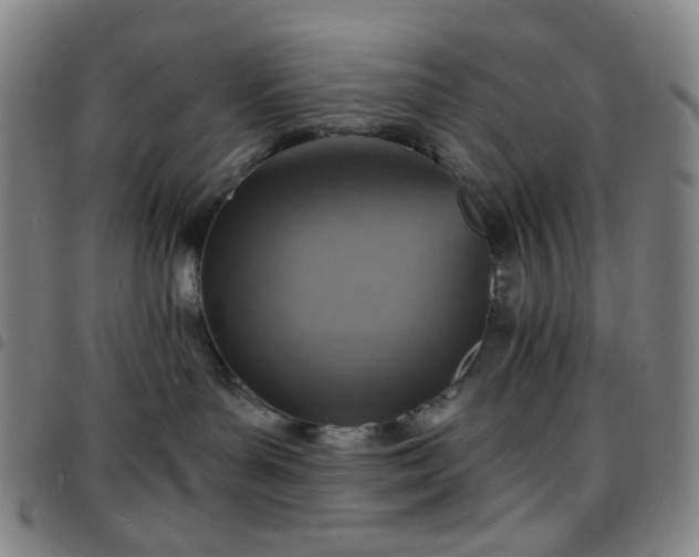 X0000097670143200803071603