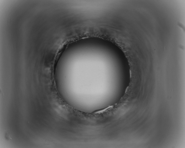 X0000097670144200803071603