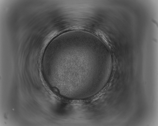 X0000097670145200803071602
