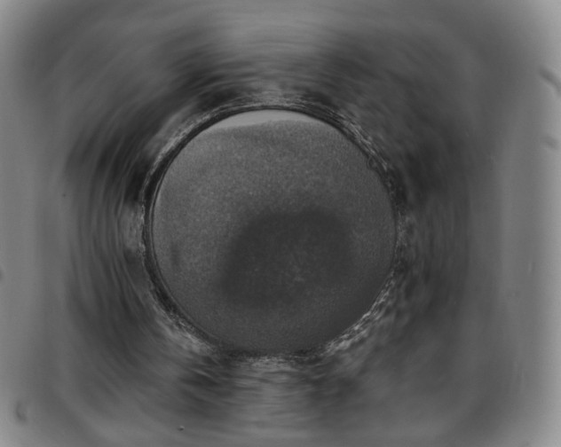 X0000097670146200803071602