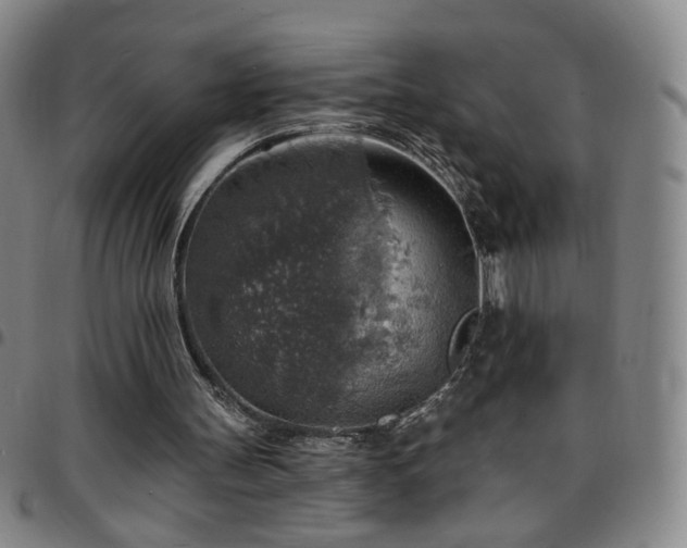 X0000097670147200803071602