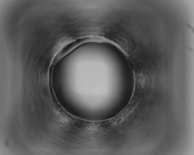 X0000097670148200803071602