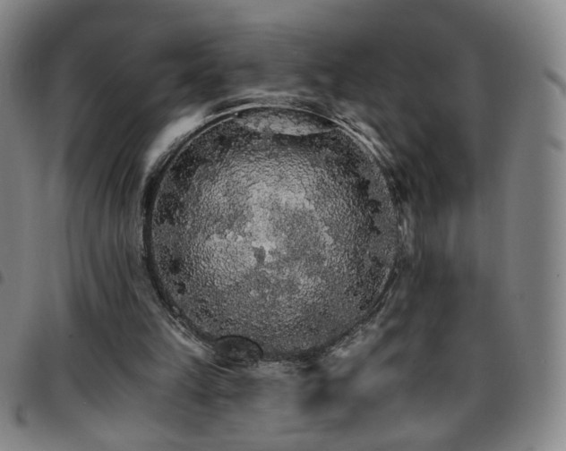X0000097670149200803071602