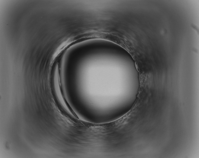 X0000097670150200803071602