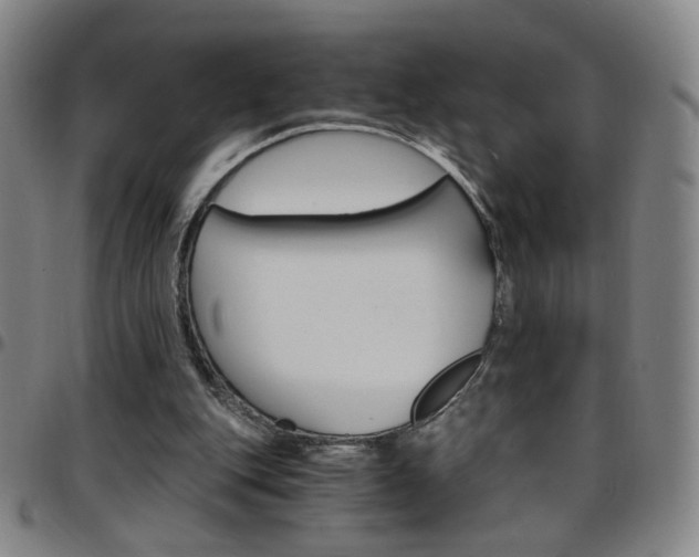X0000097670151200803071602
