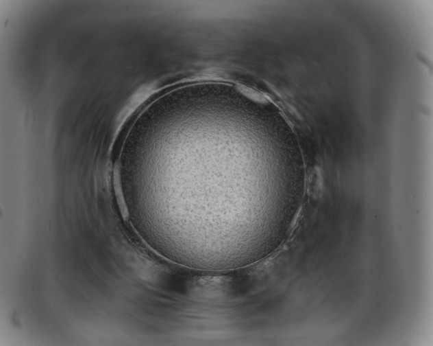 X0000097670152200803071602