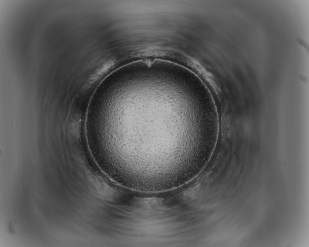 X0000097670153200803071602